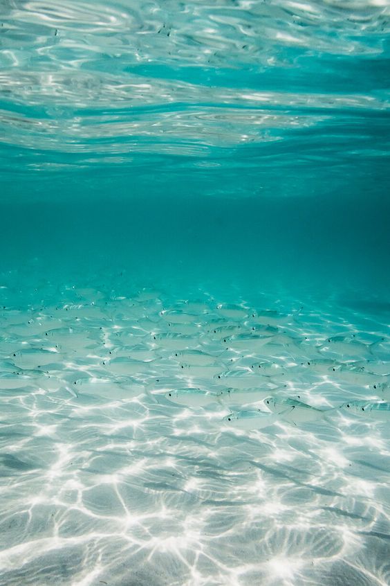 Clear water from the Luxe VA brand guidelines
